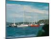 Premium Giclee Print