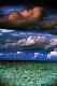 Premium Photographic Print