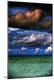 Premium Photographic Print