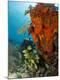 Premium Photographic Print