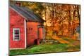 Photographic Print