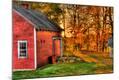 Photographic Print