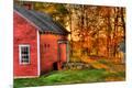 Photographic Print