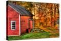 Stretched Canvas Print