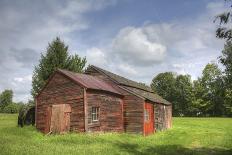 Overgrown-barn-Stephen Goodhue-Photographic Print