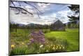 Photographic Print
