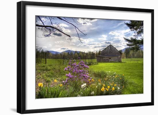 Photographic Print, , large