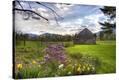 Stretched Canvas Print