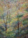 Leaf Valley-Stephen Henning-Giclee Print