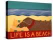 Stretched Canvas Print