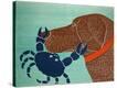 Stretched Canvas Print