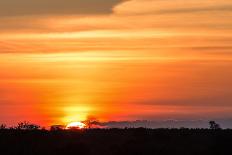 Gorgeous African Sunset in Kruger National Park-Stephen Lew-Premier Image Canvas