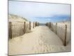 Premium Photographic Print