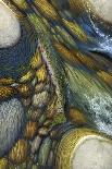 River's Rush-Stephen Stavast-Giclee Print