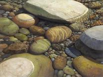 Wading-Stephen Stavast-Giclee Print