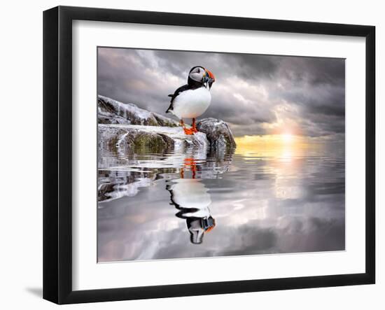 Photographic Print, , large