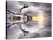 Stretched Canvas Print