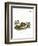 Steppe Pika-null-Framed Giclee Print