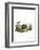 Steppe Pika-null-Framed Giclee Print