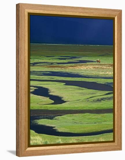 Steppeland, A Lone Horse Herder Out on the Steppeland, Mongolia-Paul Harris-Framed Premier Image Canvas