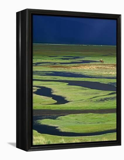 Steppeland, A Lone Horse Herder Out on the Steppeland, Mongolia-Paul Harris-Framed Premier Image Canvas