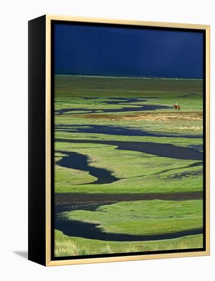 Steppeland, A Lone Horse Herder Out on the Steppeland, Mongolia-Paul Harris-Framed Premier Image Canvas