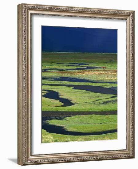 Steppeland, A Lone Horse Herder Out on the Steppeland, Mongolia-Paul Harris-Framed Photographic Print