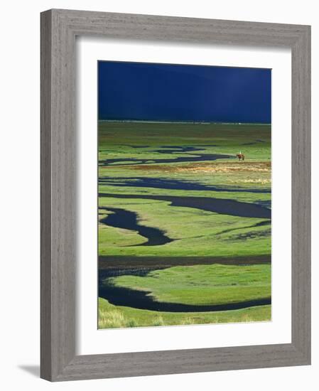 Steppeland, A Lone Horse Herder Out on the Steppeland, Mongolia-Paul Harris-Framed Photographic Print