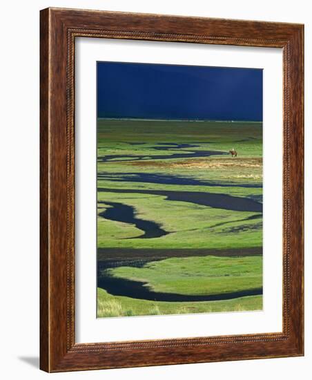 Steppeland, A Lone Horse Herder Out on the Steppeland, Mongolia-Paul Harris-Framed Photographic Print