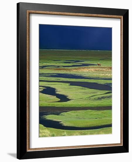 Steppeland, A Lone Horse Herder Out on the Steppeland, Mongolia-Paul Harris-Framed Photographic Print