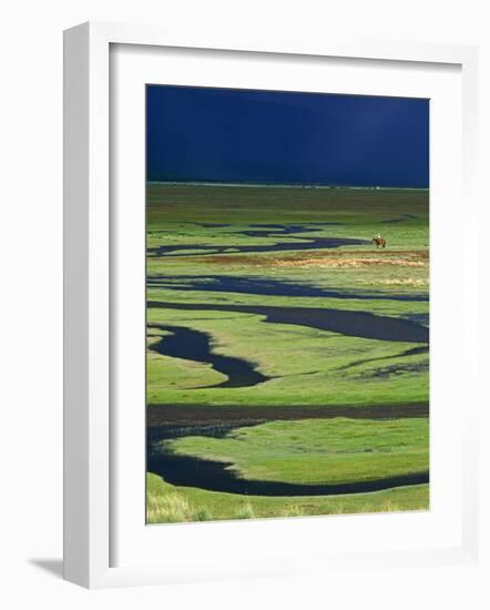 Steppeland, A Lone Horse Herder Out on the Steppeland, Mongolia-Paul Harris-Framed Photographic Print