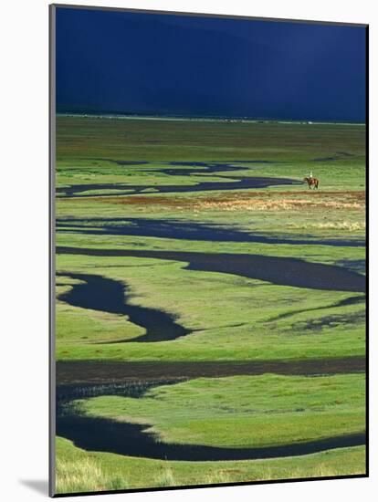 Steppeland, A Lone Horse Herder Out on the Steppeland, Mongolia-Paul Harris-Mounted Photographic Print