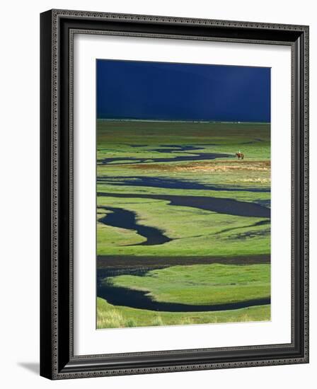 Steppeland, A Lone Horse Herder Out on the Steppeland, Mongolia-Paul Harris-Framed Photographic Print