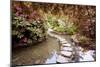 Stepping Stones at Butchart Gardens #2, Victoria, B.C. ‘09-Monte Nagler-Mounted Photographic Print