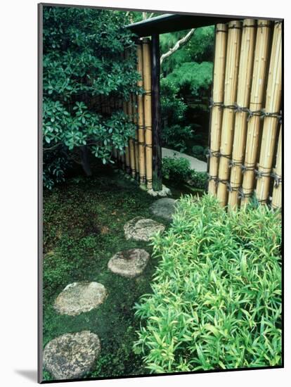 Stepping Stones, Shinshin-An, Kyoto, Japan-null-Mounted Photographic Print