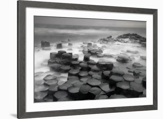 Stepping Stones-Wild Wonders of Europe-Framed Giclee Print