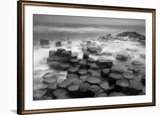 Stepping Stones-Wild Wonders of Europe-Framed Giclee Print