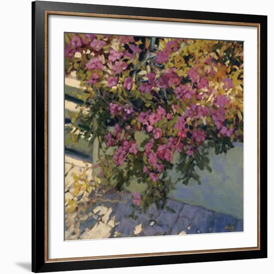 Steps and Summer Flowers-Philip Craig-Framed Art Print