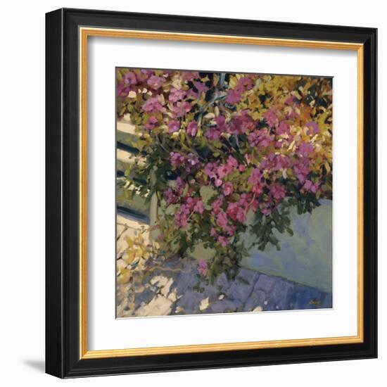 Steps and Summer Flowers-Philip Craig-Framed Giclee Print