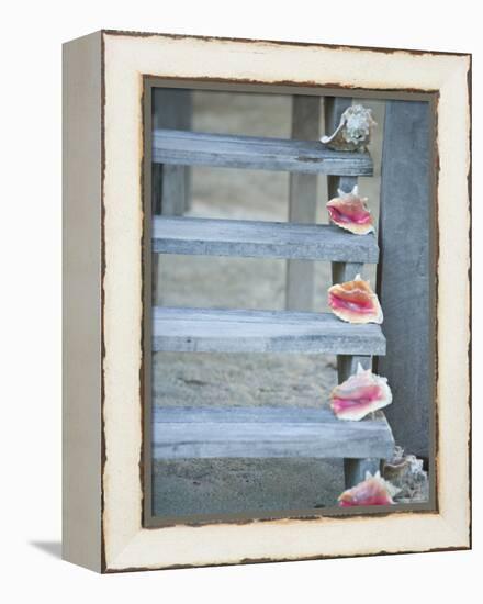 Steps, Caye Caulker, Belize-Russell Young-Framed Premier Image Canvas