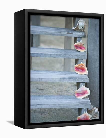 Steps, Caye Caulker, Belize-Russell Young-Framed Premier Image Canvas
