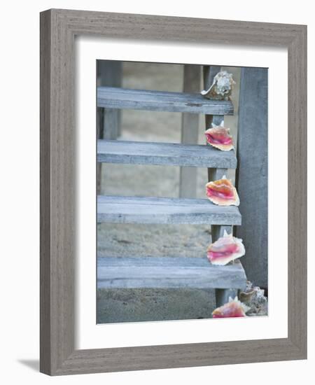 Steps, Caye Caulker, Belize-Russell Young-Framed Photographic Print