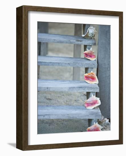 Steps, Caye Caulker, Belize-Russell Young-Framed Photographic Print
