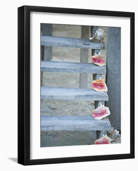 Steps, Caye Caulker, Belize-Russell Young-Framed Photographic Print