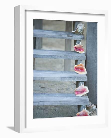 Steps, Caye Caulker, Belize-Russell Young-Framed Photographic Print