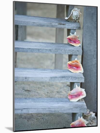 Steps, Caye Caulker, Belize-Russell Young-Mounted Photographic Print