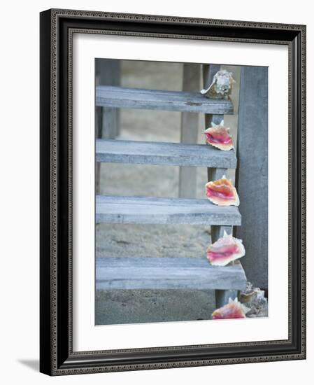 Steps, Caye Caulker, Belize-Russell Young-Framed Photographic Print