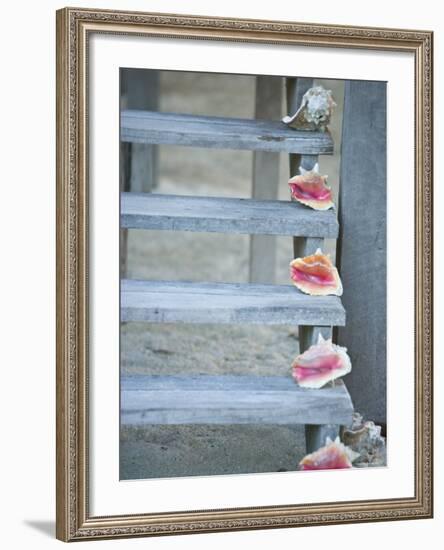 Steps, Caye Caulker, Belize-Russell Young-Framed Photographic Print