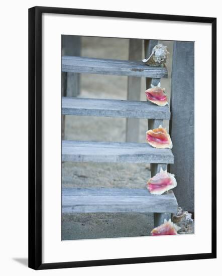 Steps, Caye Caulker, Belize-Russell Young-Framed Photographic Print