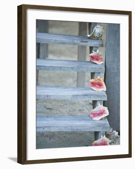 Steps, Caye Caulker, Belize-Russell Young-Framed Photographic Print